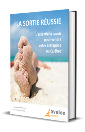 La sortie réussie ebook